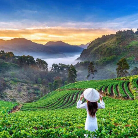 Aizawl
