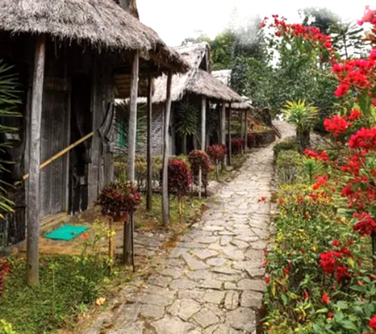 Kohima