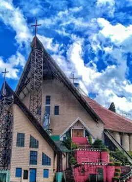 Nagaland