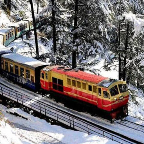 Shimla