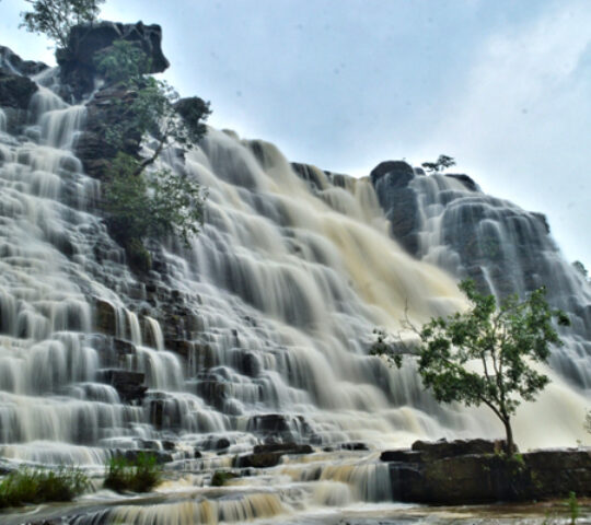 Raipur