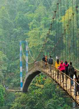 Meghalaya